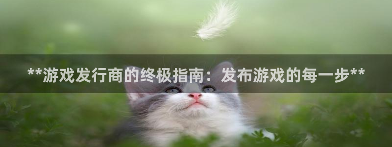 新宝gg怎么登录不了：**游戏发行商的终极指南：发布游戏的每一步**